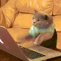 2130706433_6CedN9Ig_6ee422c06965f6ef7b8b2704764b053879936902.gif