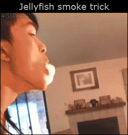 2130706433_EwyUSI5N_ba731f56210263596f685e27155371874d085b1f.gif