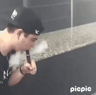 2130706433_wHBhNlpu_ee34e34898646877dcb859fe845cb7cab992f831.gif