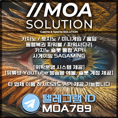 카지노솔루션.jpg