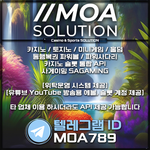 카지노솔루션.jpg