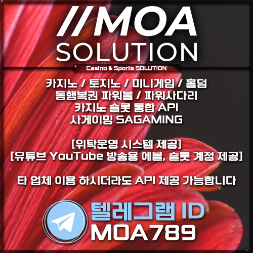 카지노솔루션.jpg