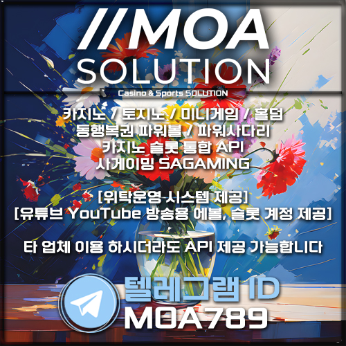 카지노솔루션.jpg