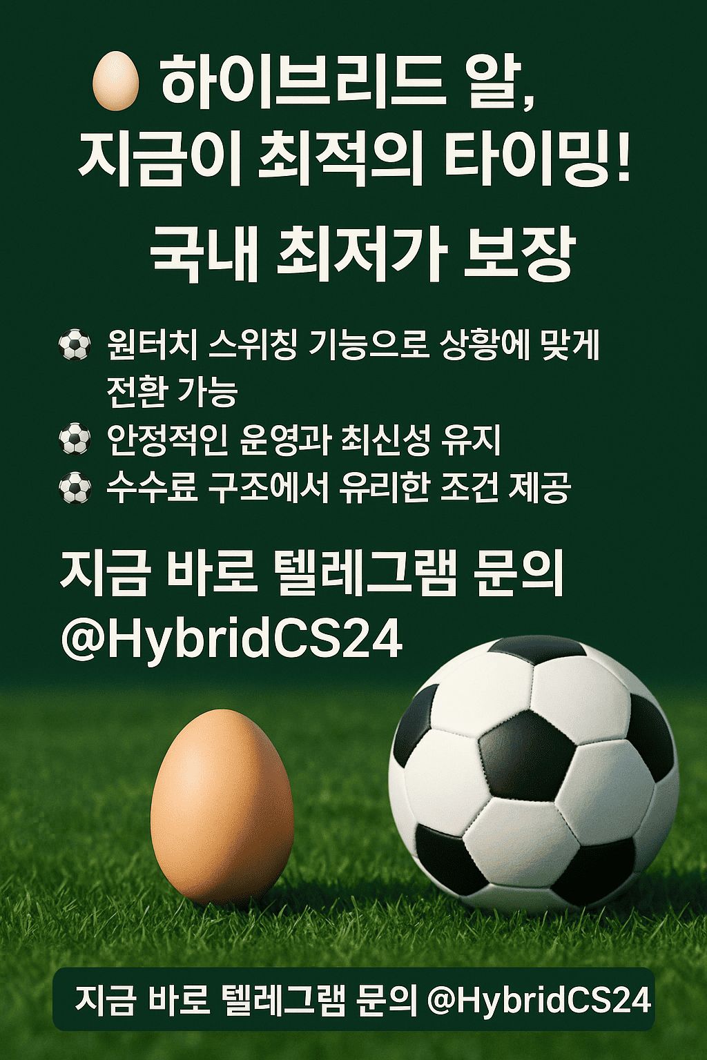 하이브리드알.jpg