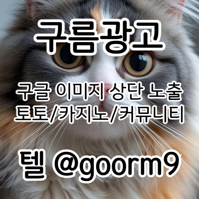 토토사이트홍보-구글이미지홍보하기-카지노홍보-토토광고-사설토토홍보-구글이미지광고34t5y890y945y8a4z9y.jpg