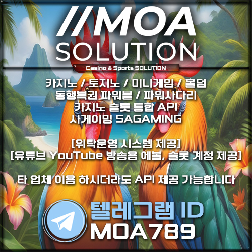 카지노솔루션.jpg