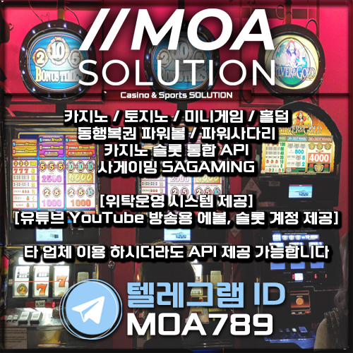 카지노솔루션.jpg