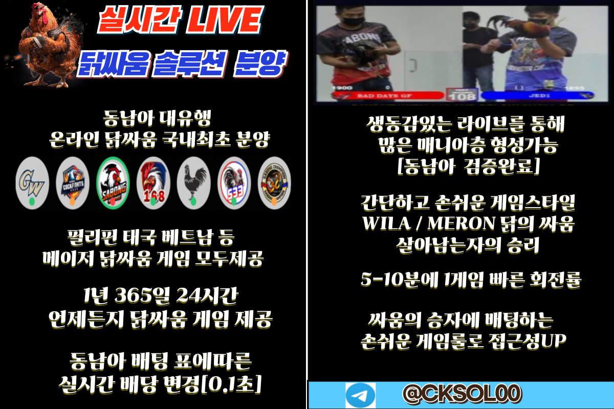 닭싸움 솔루션.png