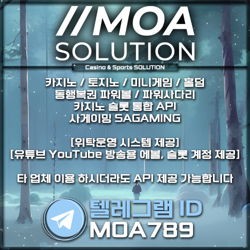 카지노솔루션.jpg