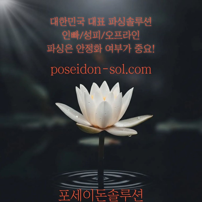 aszxdestrdf카지노분양-바카라솔루션-바카라분양-카지노사이트제작-카지노솔루션분양2.jpg