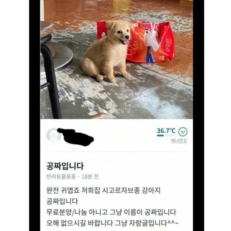 본문 이미지