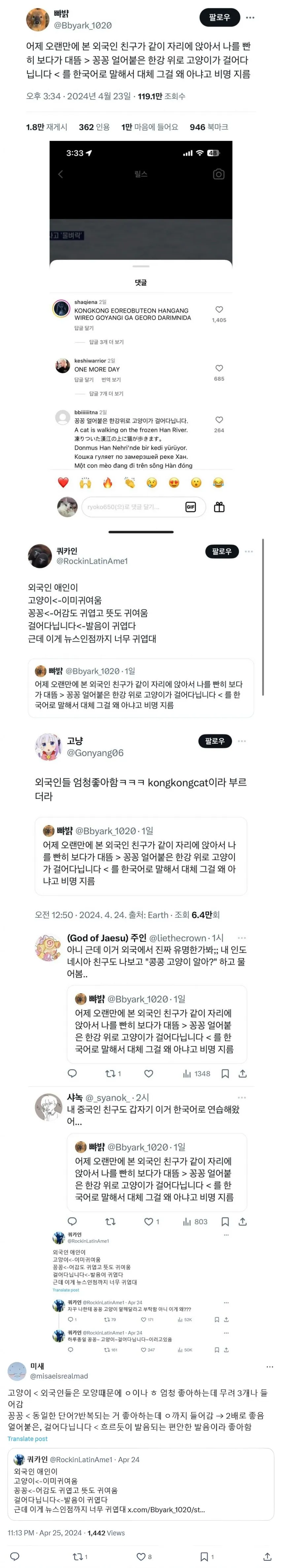 세계에 퍼졌다는 꽁꽁 얼어붙은 한강 위로 고양이 밈