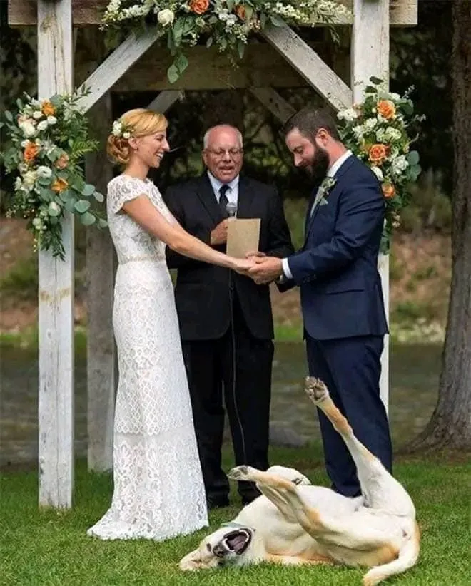 망친 결혼식 사진들